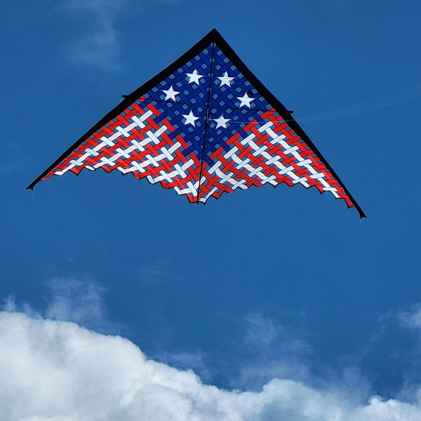 19 ft. Mesh Delta - Patriotic